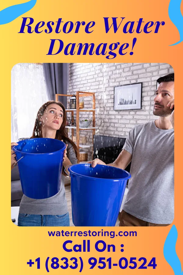 water restoration Expert Water Damage Professionals Lindon