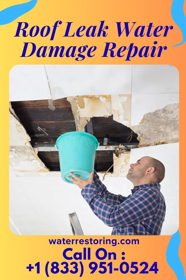Roof Leak Water Damage Repair in Lindon, UT